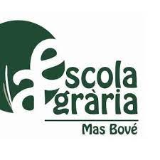 Mas Bové