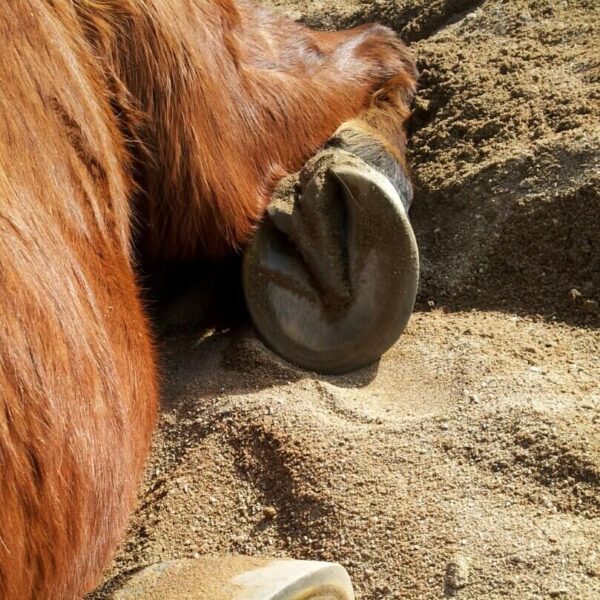 Curso "1er Contacto"